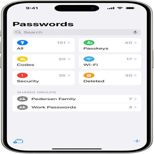 Apple Passwords app on iPhone showing passwords, passkeys, codes and Wi-Fi sections