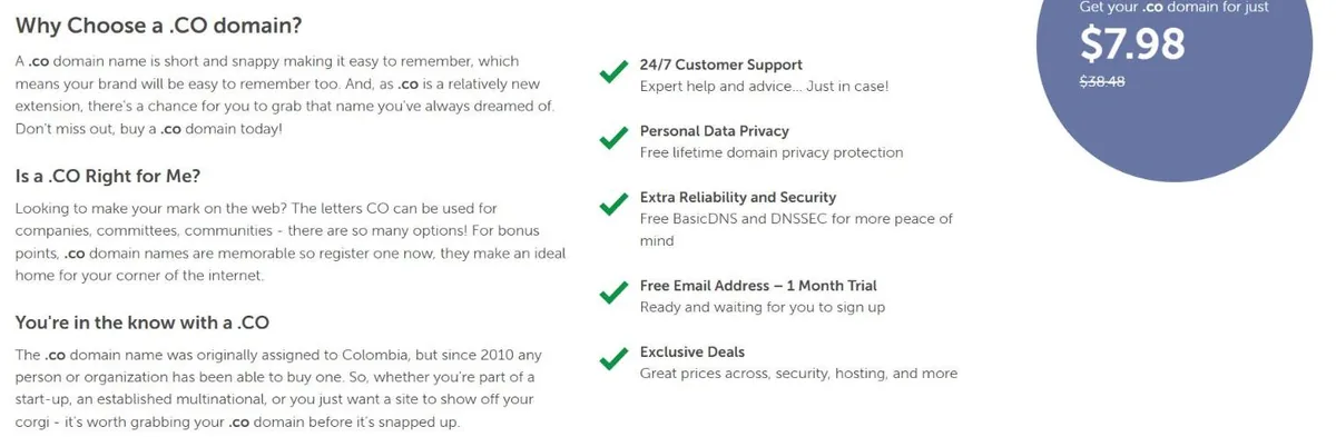 Namecheap .co domain page explaining .co for companies